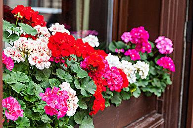 《极品飞车手游》测试视频泄露 当前由腾讯开发中